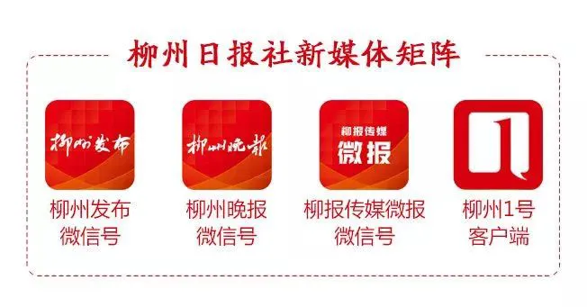 哪里可以找到有效的篮球进步训练计划?_1